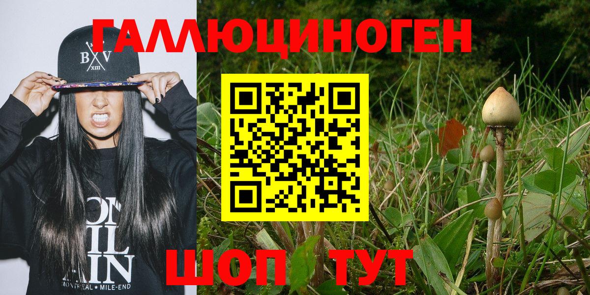 Ухта  Псилоцибиновые грибы Psilocybe  Вход с VPN 